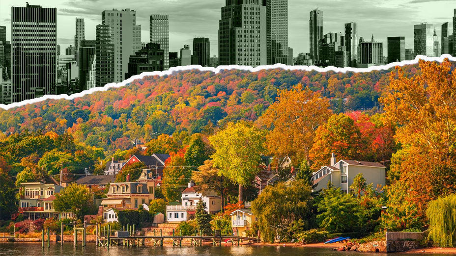 Paterson New Jersey Proximity to New York City Keeping Rental Demand Consistently High